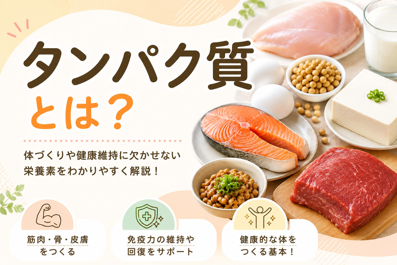 【たんぱく質とは？】体づくり・健康維持に欠かせない栄養素をわかりやすく解説